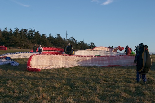 Fourteen winds laid out for launch.